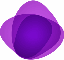 Business Website Solutions