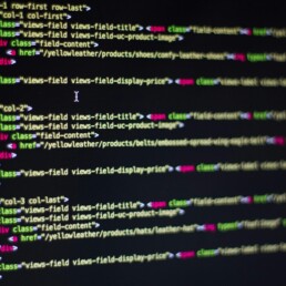 Business Website Development